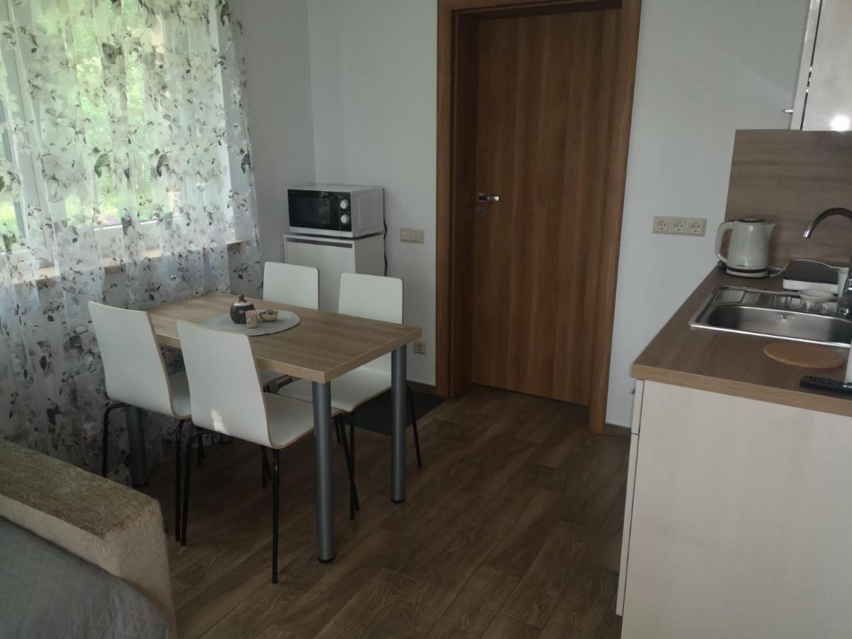 Kristinos Apartment Druskininkai Esterno foto