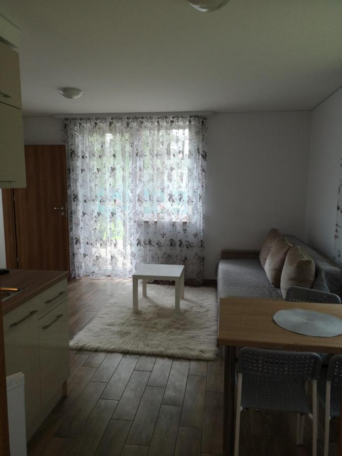 Kristinos Apartment Druskininkai Esterno foto