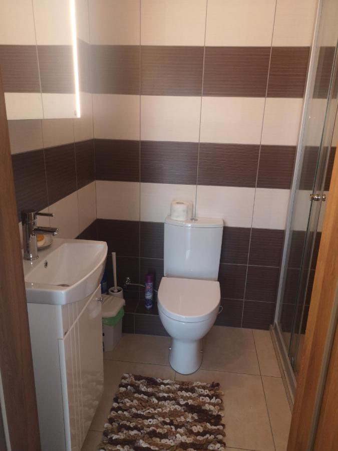 Kristinos Apartment Druskininkai Esterno foto