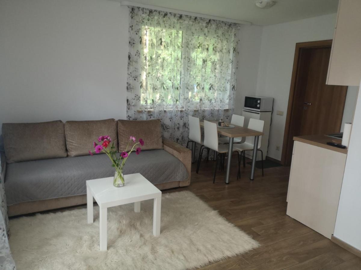 Kristinos Apartment Druskininkai Esterno foto