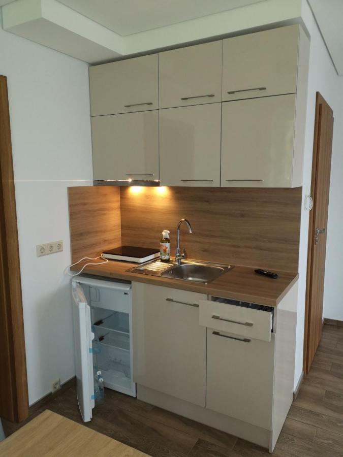 Kristinos Apartment Druskininkai Esterno foto