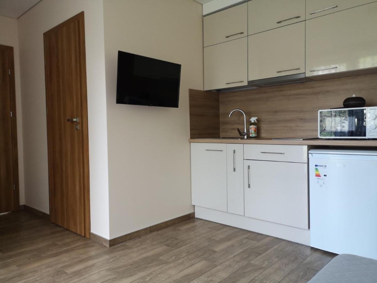 Kristinos Apartment Druskininkai Esterno foto