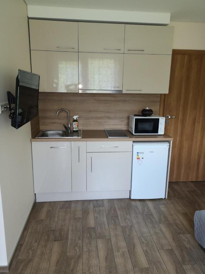 Kristinos Apartment Druskininkai Esterno foto