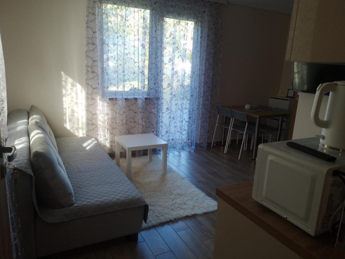 Kristinos Apartment Druskininkai Esterno foto