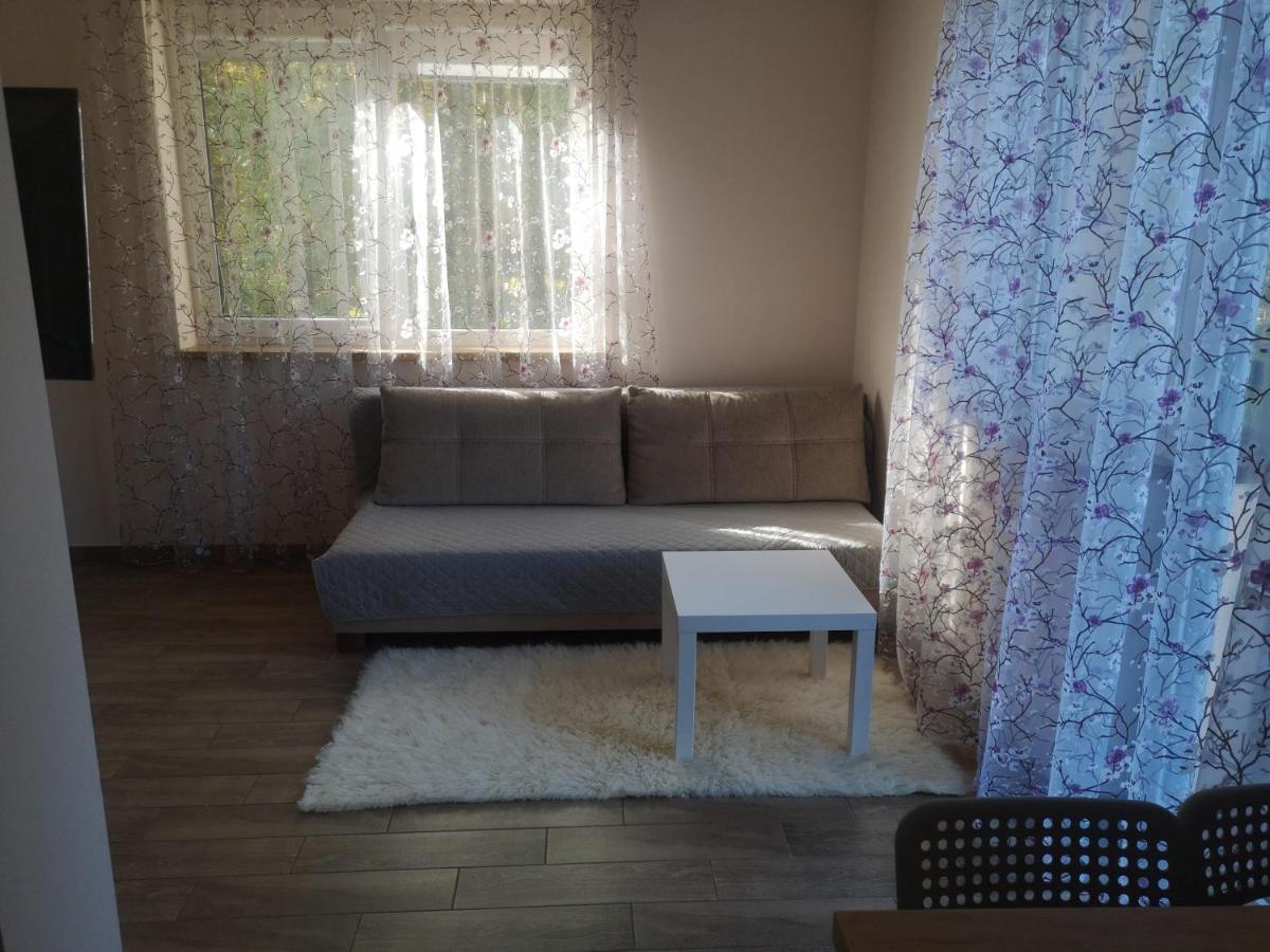 Kristinos Apartment Druskininkai Esterno foto